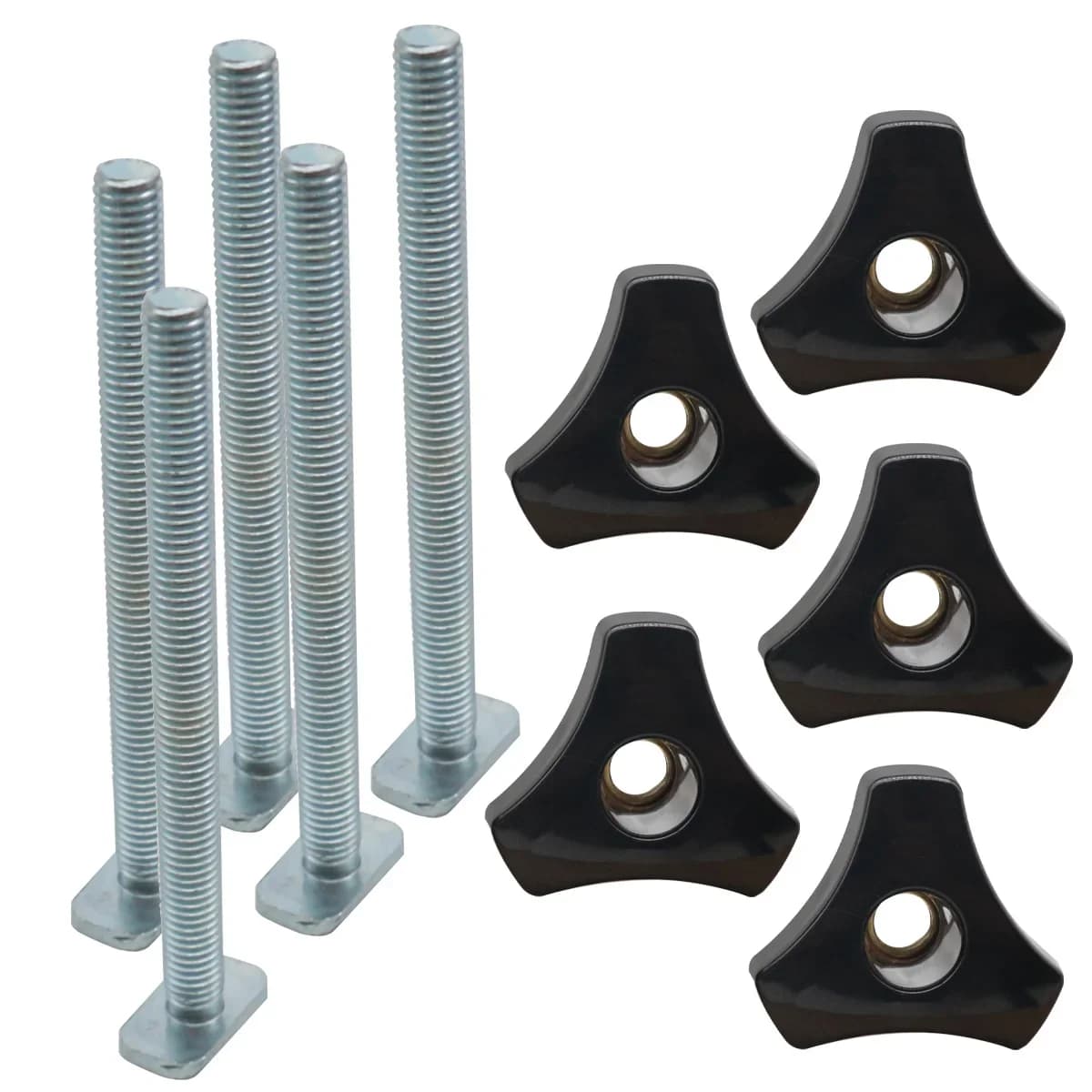 Bộ ray T và bu lông hồ sơ cắt đôi 500mm